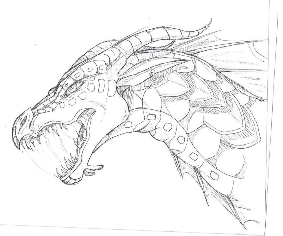 Seawing Sketch by TheLittleWaterDragon.deviantart.com on ...