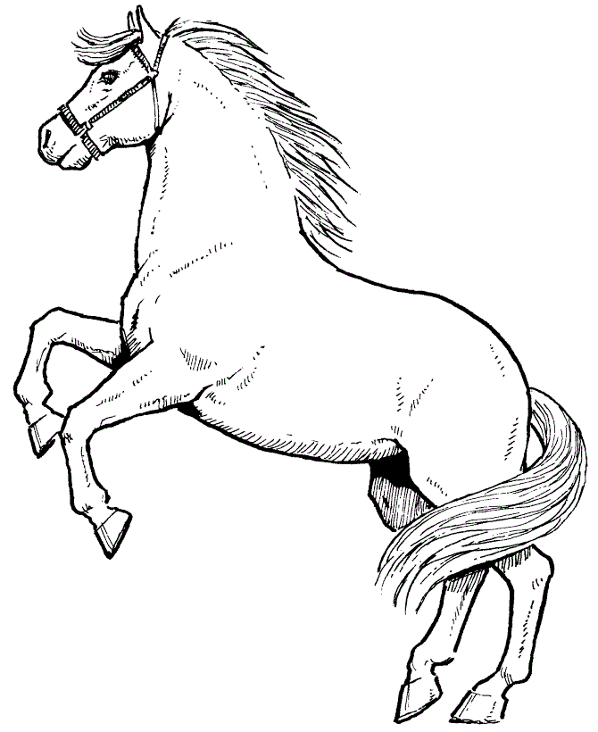 Carousel Horse Colouring Pages - Coloring Pages for Kids and for ...