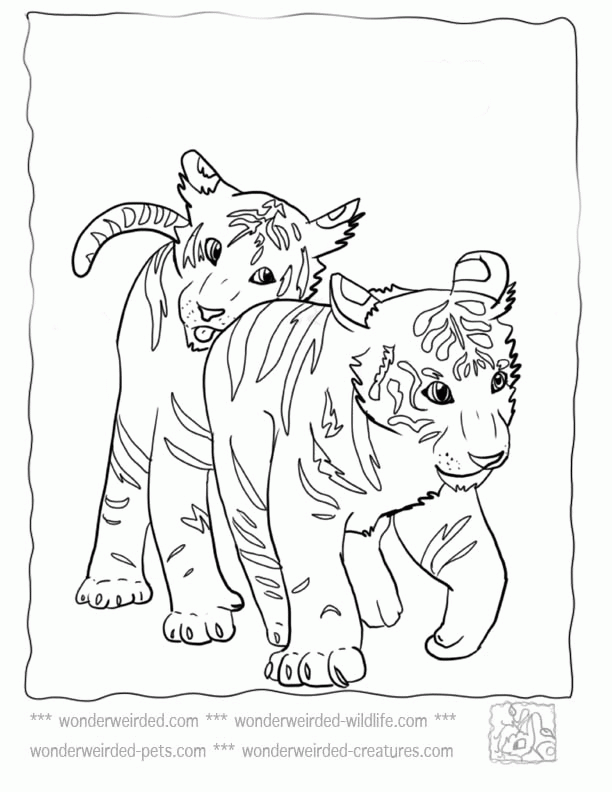 Baby Animals Coloring Pages Free