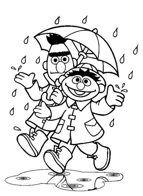 Bert and Ernie Under Umbrella in the Rain in Sesame Street ...