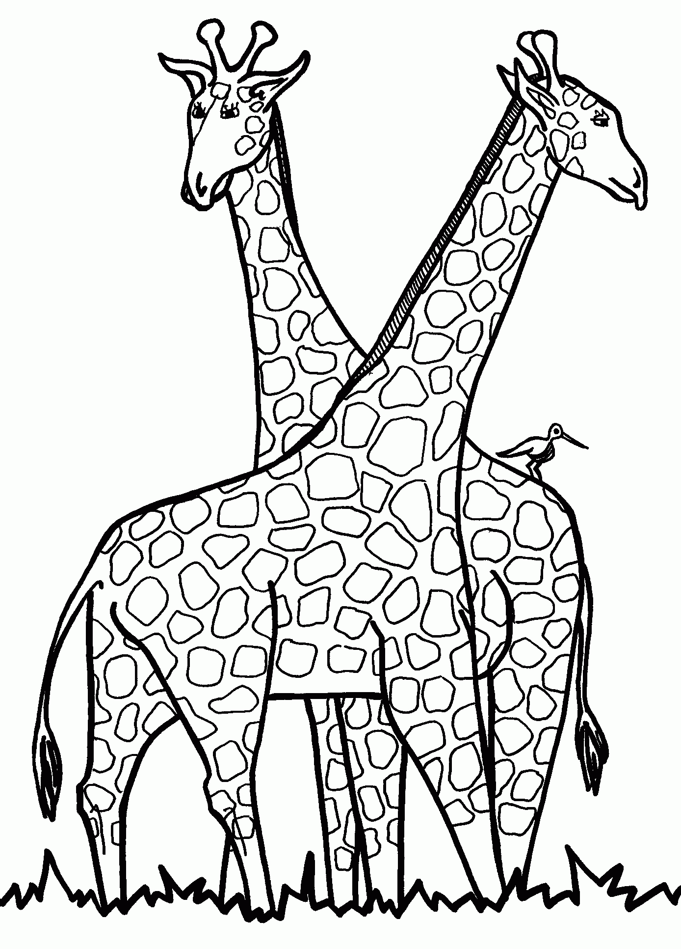 6 Pics of Realistic Giraffe Coloring Pages - Giraffe Coloring ...