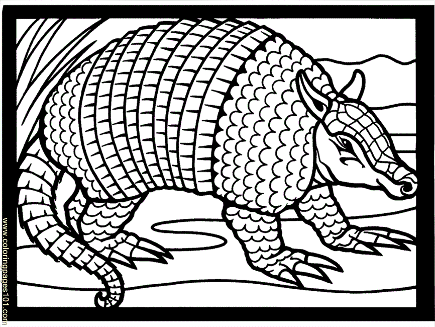 Coloring Pages Mexican Coloring Armadillo2 (Countries > Mexico 