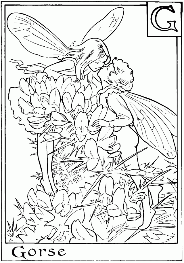 Flower Fairies Coloring Pages Remarkable Connections 106332 