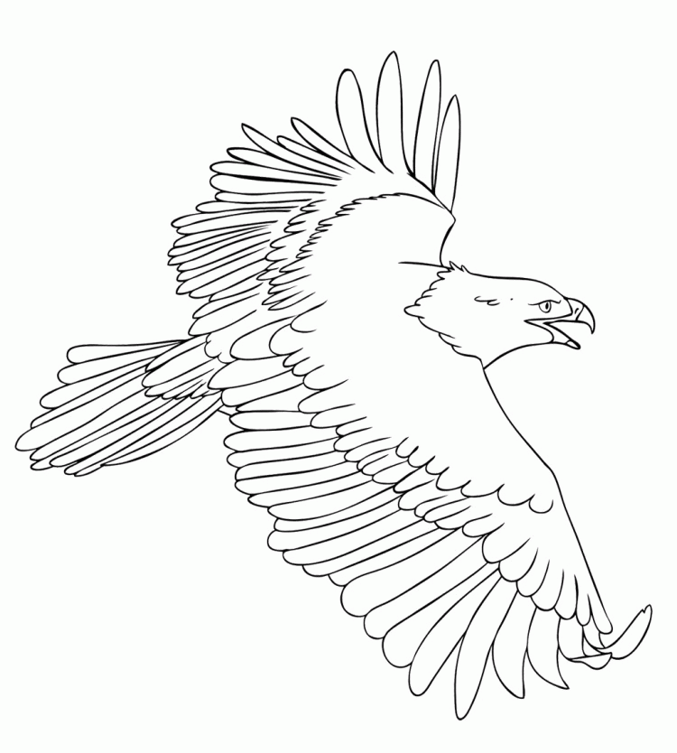 Eagle Fly Free Coloring Pages - Animal Coloring Coloring Pages 