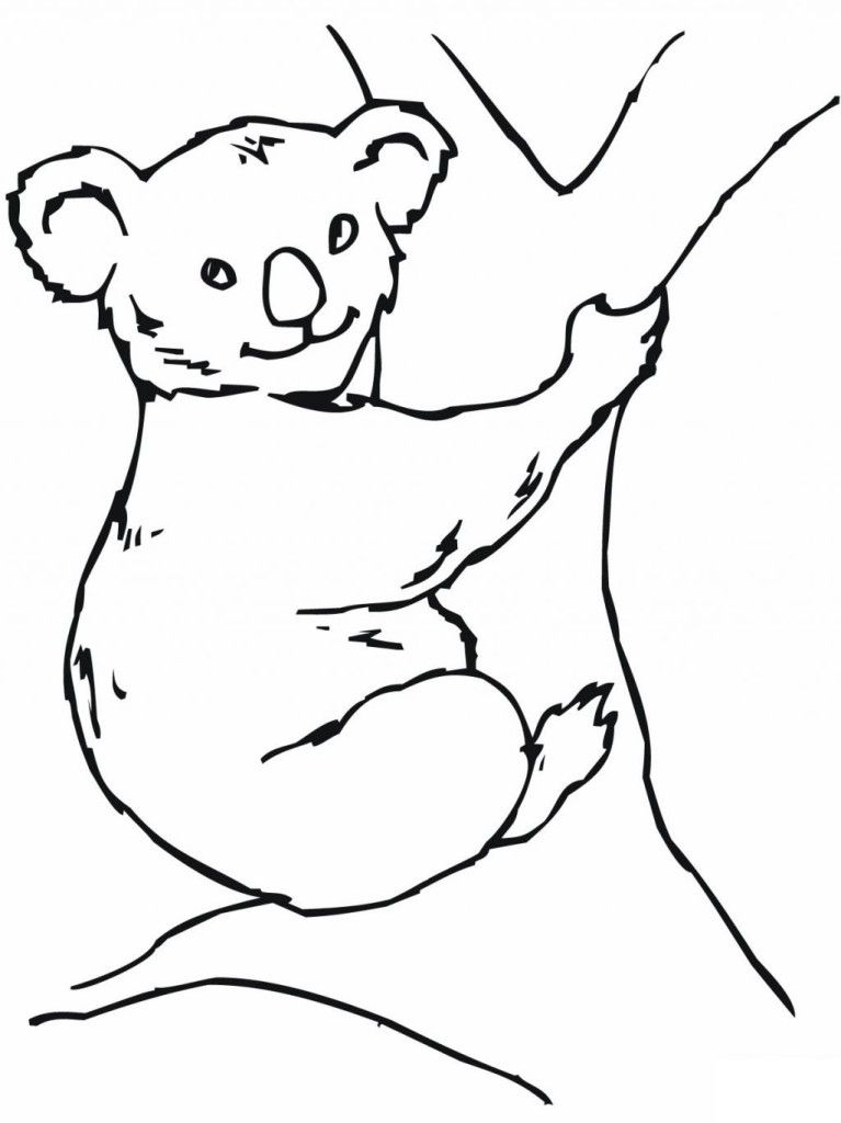 Koala Bear Coloring Pages For Kids1 | Extra Coloring Page