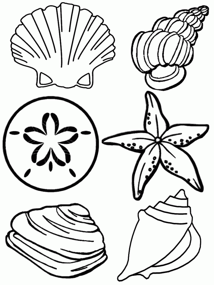 Sea Shell Coloring Page For Kids | 99coloring.com
