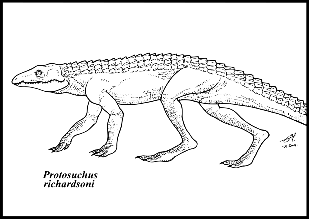 Protosuchus richardsoni by zakafreakarama on deviantART
