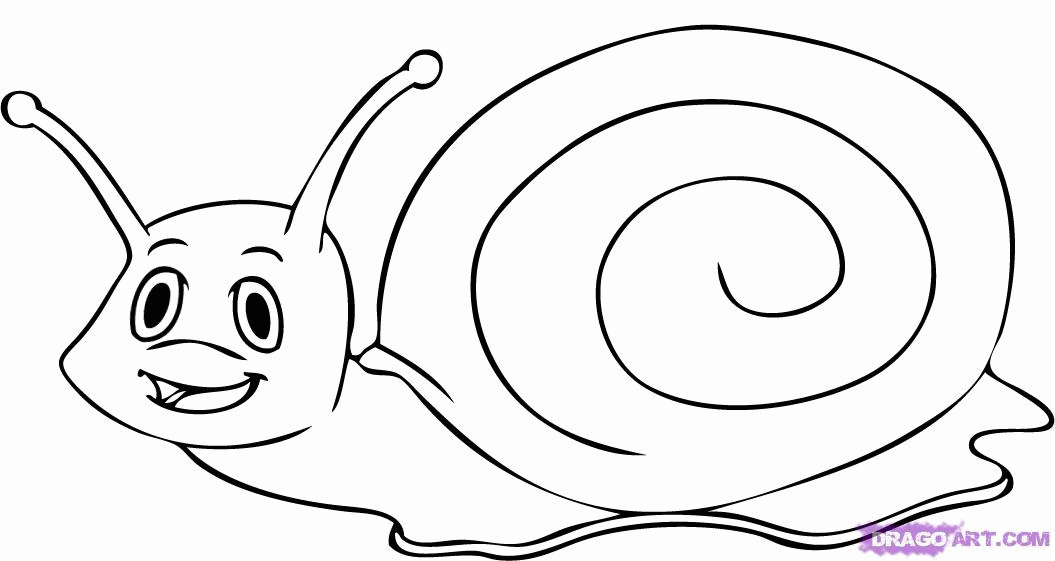 How To Draw A Cartoon Snail, Step By Step, Cartoon Animals - Coloring Home