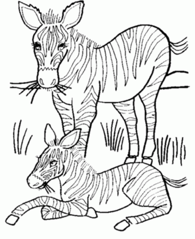 Download Zebra Coloring Pages To Print | Printable Coloring Pages ...