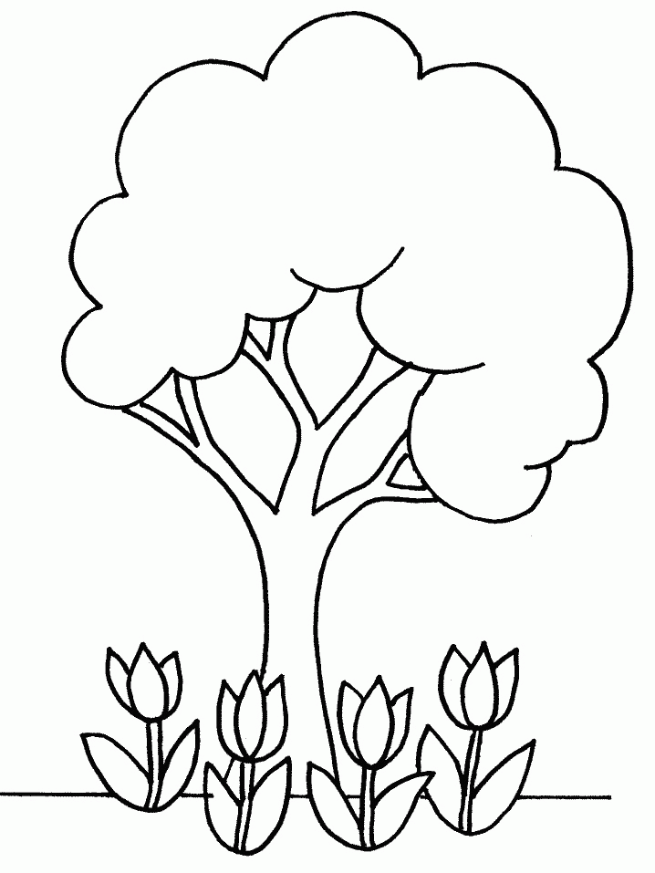 Plants And Flowers Coloring Pages Car Pictures