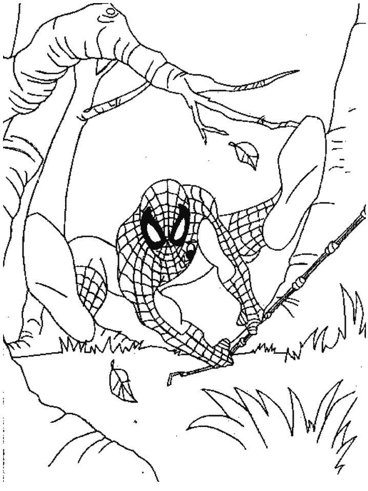 Spider Drawing Coloring Pages
