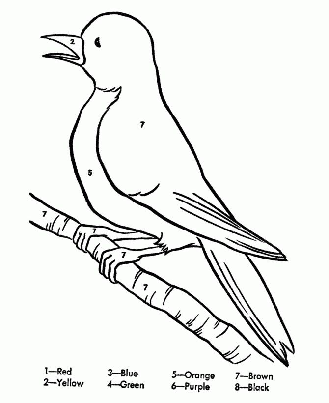 Bird Coloring Pages For KidsColoring Pages | Coloring Pages