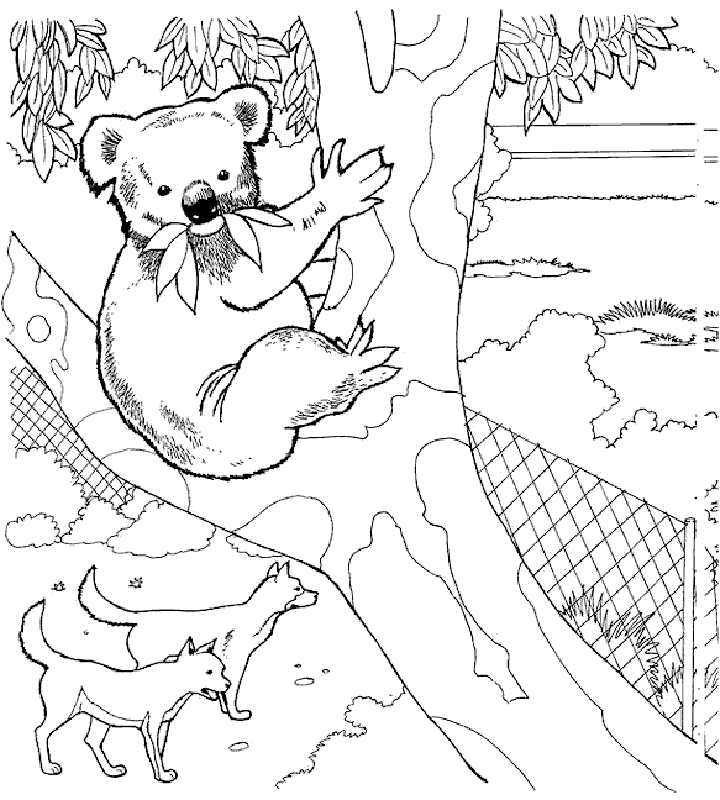 Zoo Animal Coloring Pages 6 | Free Printable Coloring Pages 