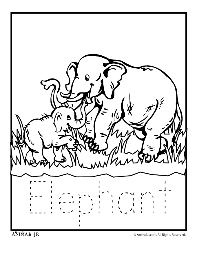 Of Zoo Animals | Free Coloring Pages on Masivy World