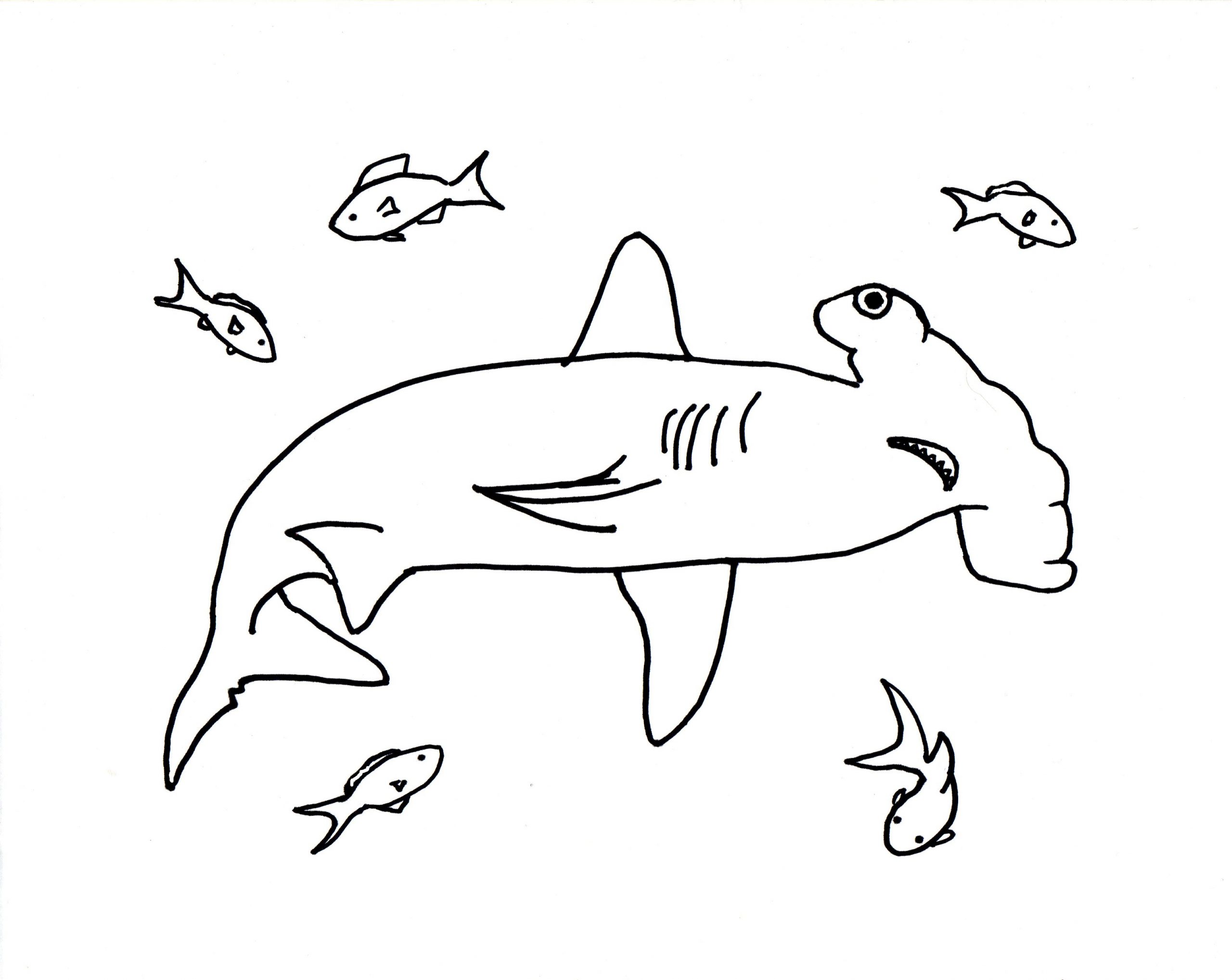 Bathroom : 57 Extraordinary Hammerhead Shark Coloring Page ...