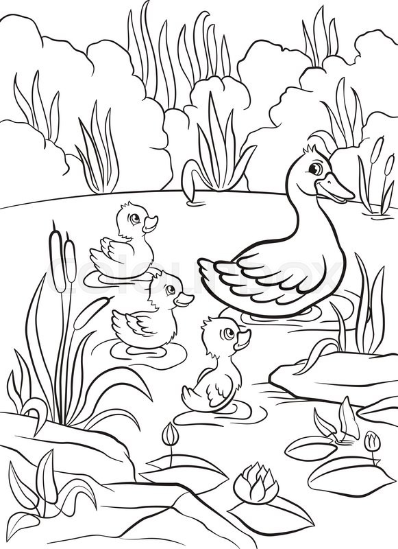 Coloring pages. Kind duck and free ... | Stock vector ...