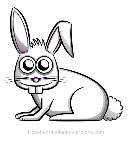 Rabbit drawing (Sketching + vector)