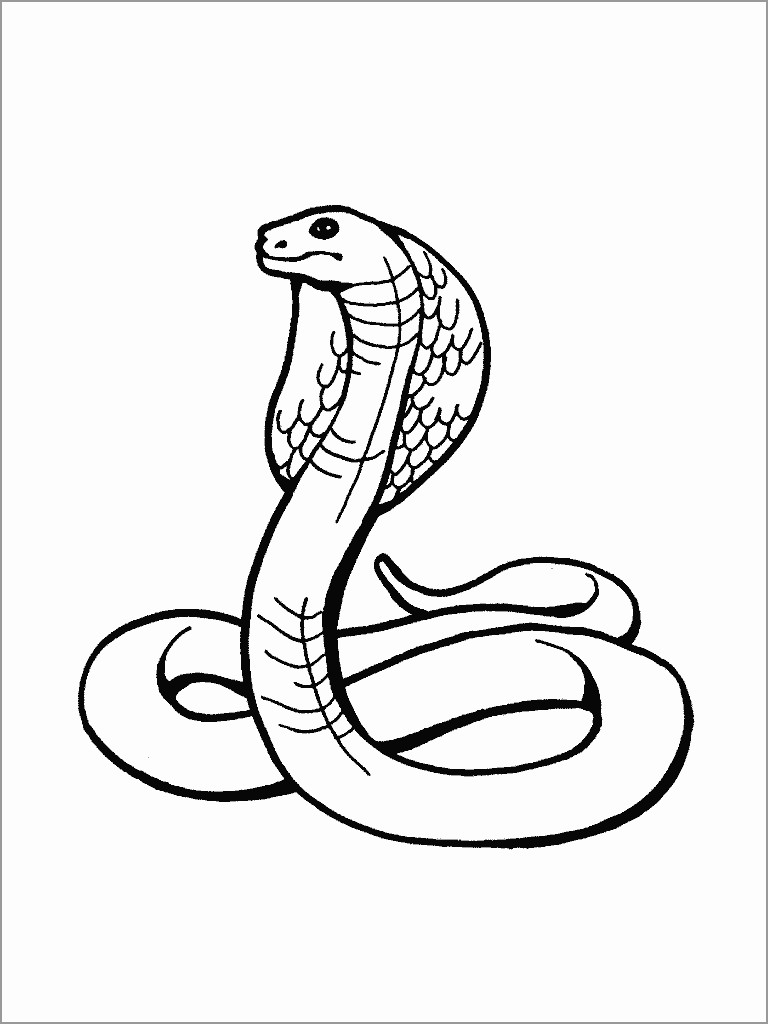 Cobra printable King cobra coloring page free printable coloring pages |  Estele.abimillepattes.com