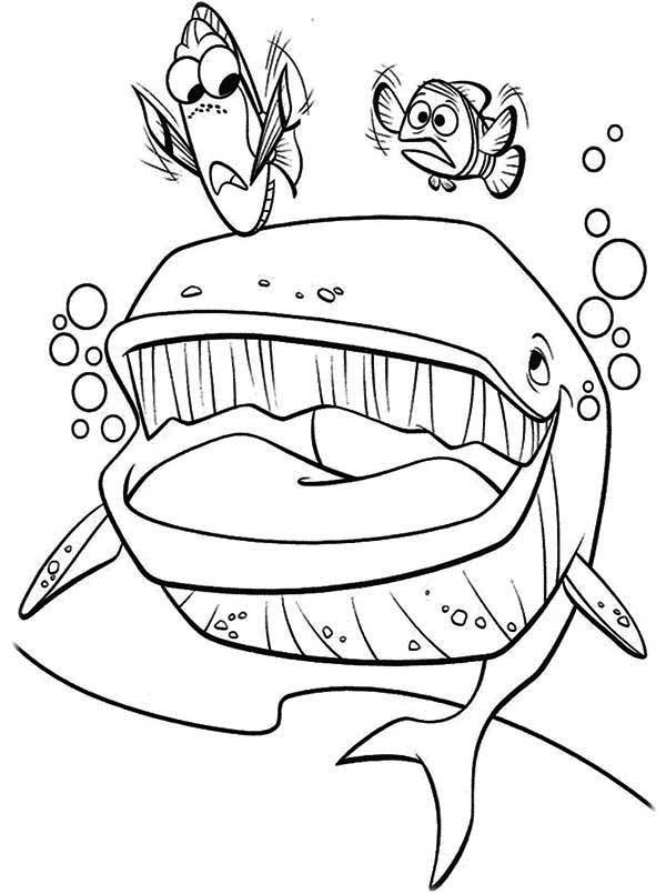 coloring : Finding Nemo Coloring Pages Unique Finding Nemo Coloring Whale  Clip Art Library Finding Nemo Coloring Pages ~ queens