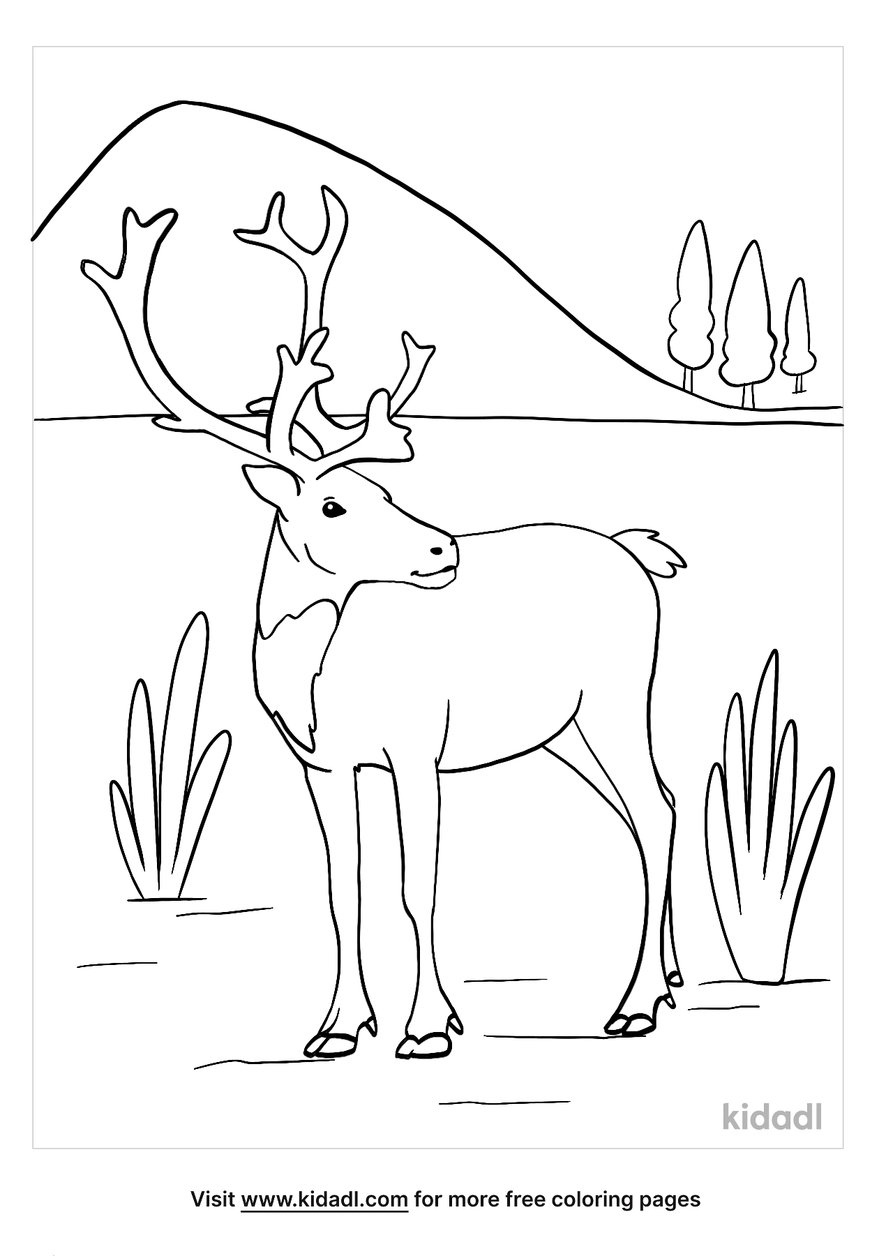 Caribou Coloring Pages   Free Animals Coloring Pages   Kidadl ...