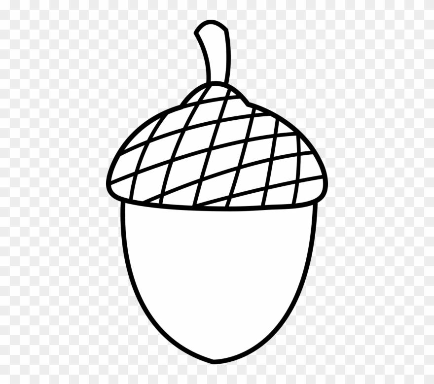 Nuts Drawing - Acorn Colouring Pages Clipart (#2078779) - PinClipart