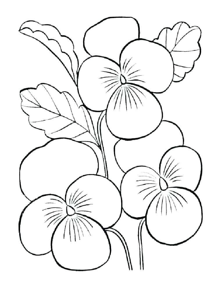 violet coloring page