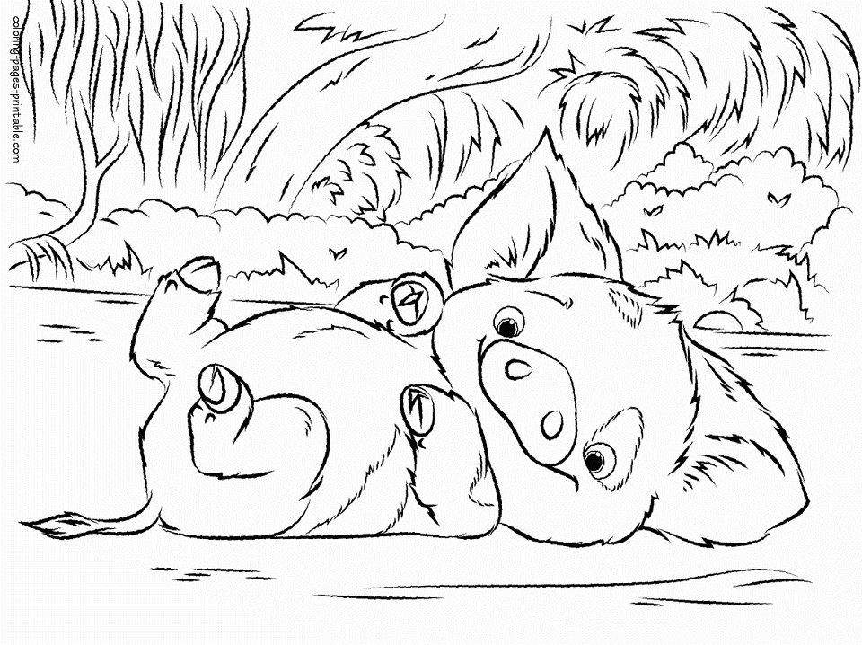 Adorable Pua Coloring Page - Free ...coloringonly.com