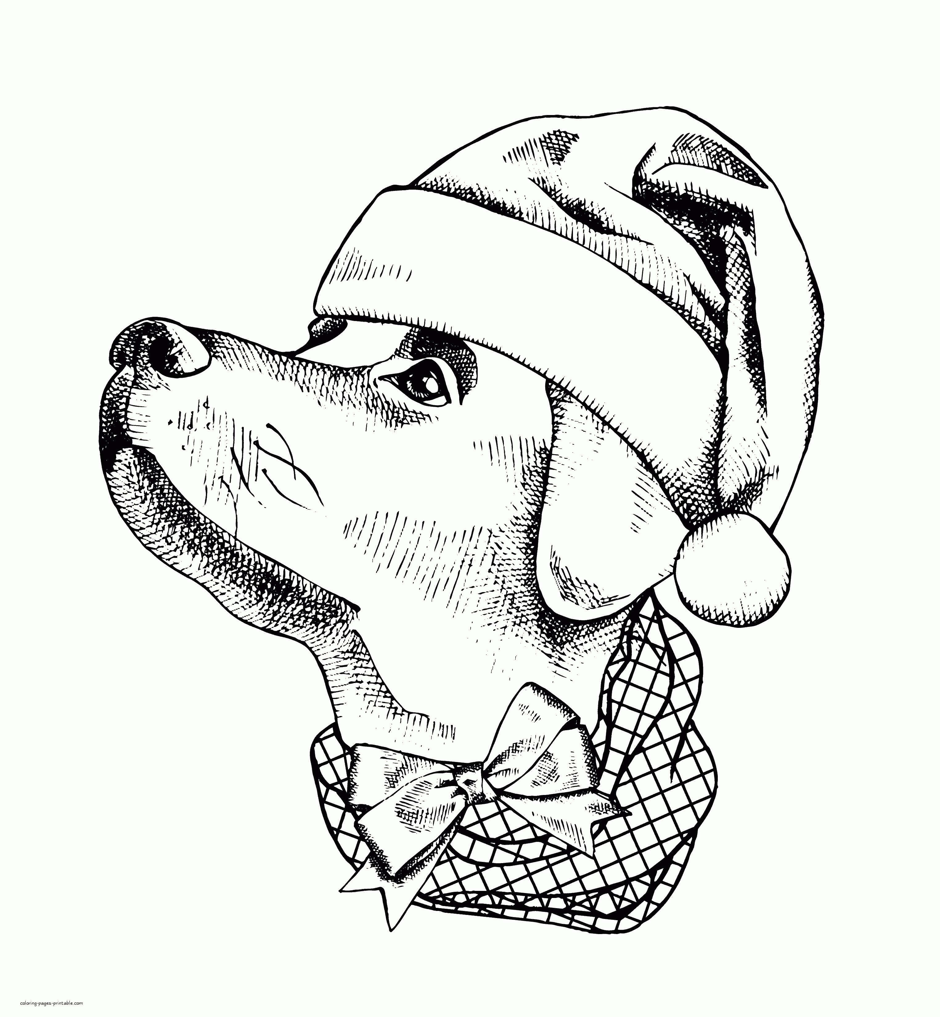 Real Dog Coloring Page For Adult    COLORING PAGES PRINTABLE.COM ...