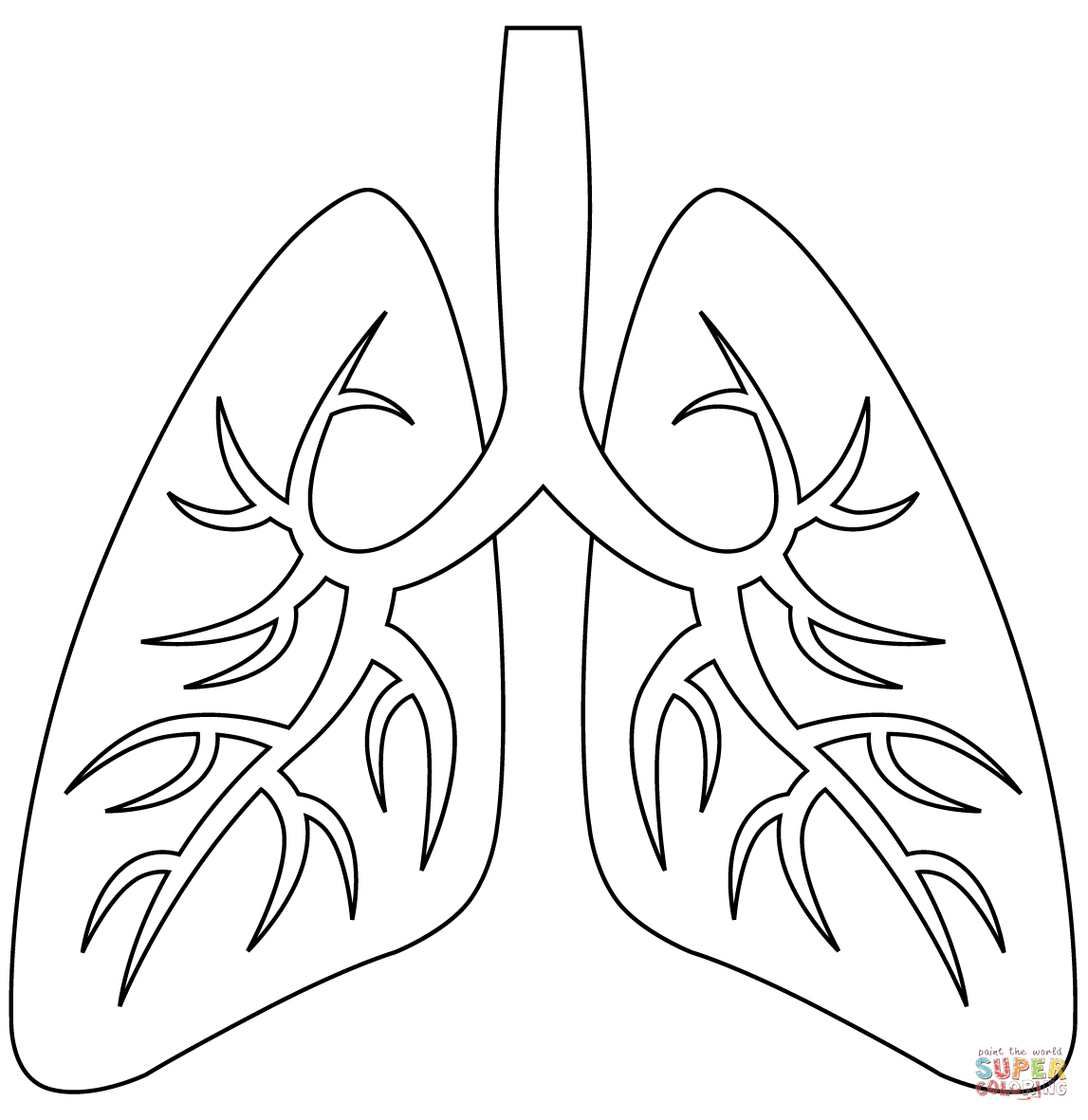 Lungs coloring page | Free Printable Coloring Pages