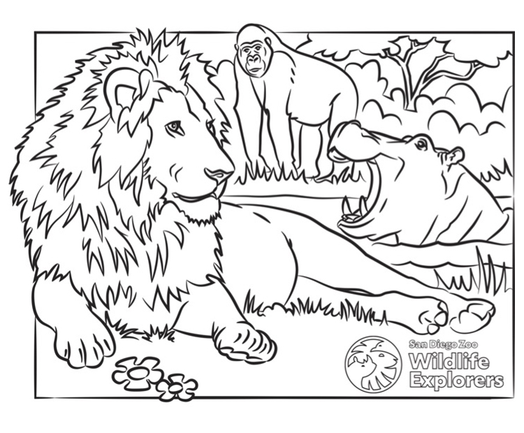 Coloring Page: Lion and Friends | San Diego Zoo Wildlife Explorers