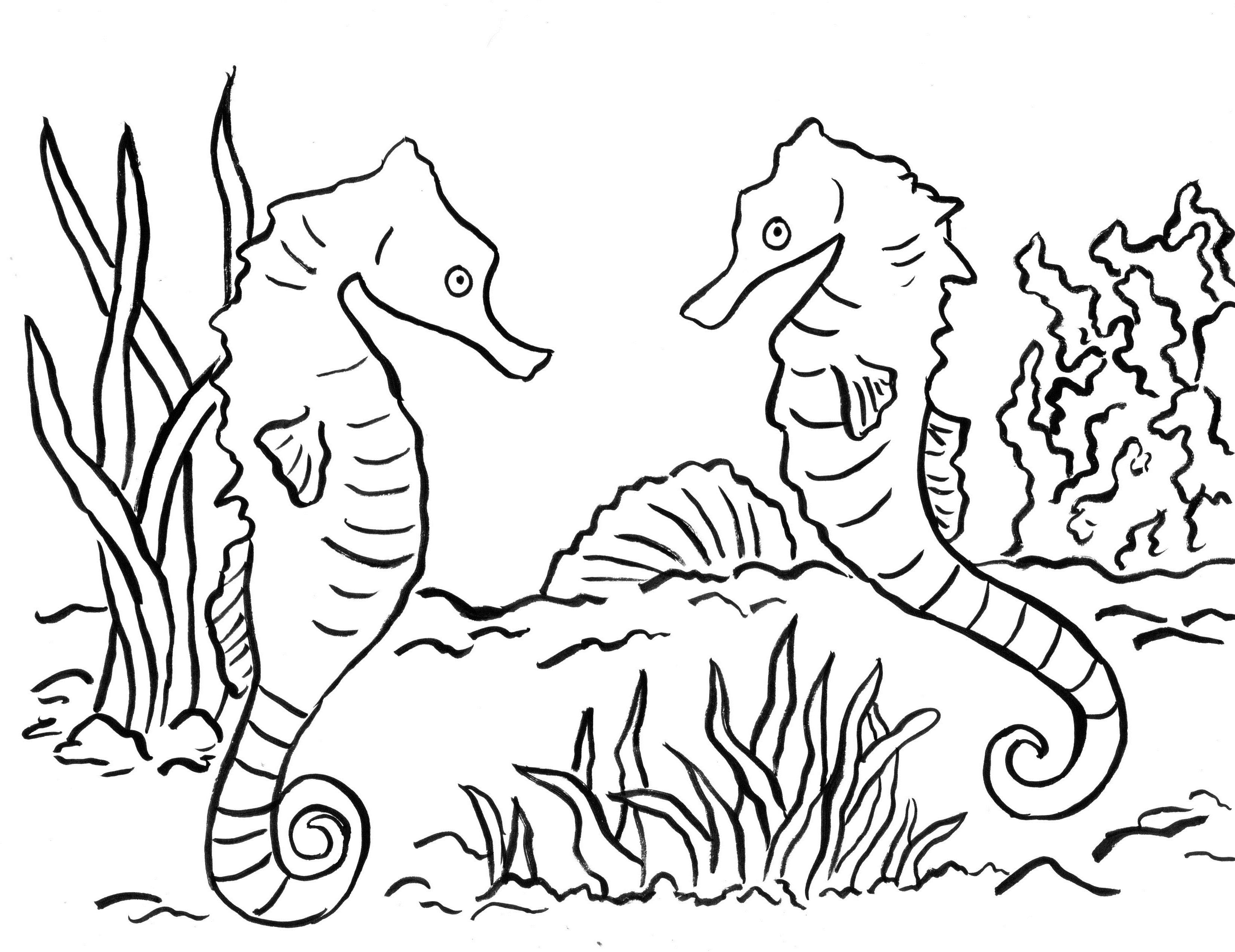 Seahorse Coloring Page - Art Starts for Kids