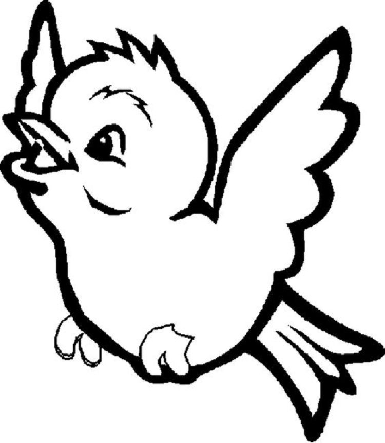 cute bird coloring page | Bird coloring pages, Animal coloring pages, Bird  drawings