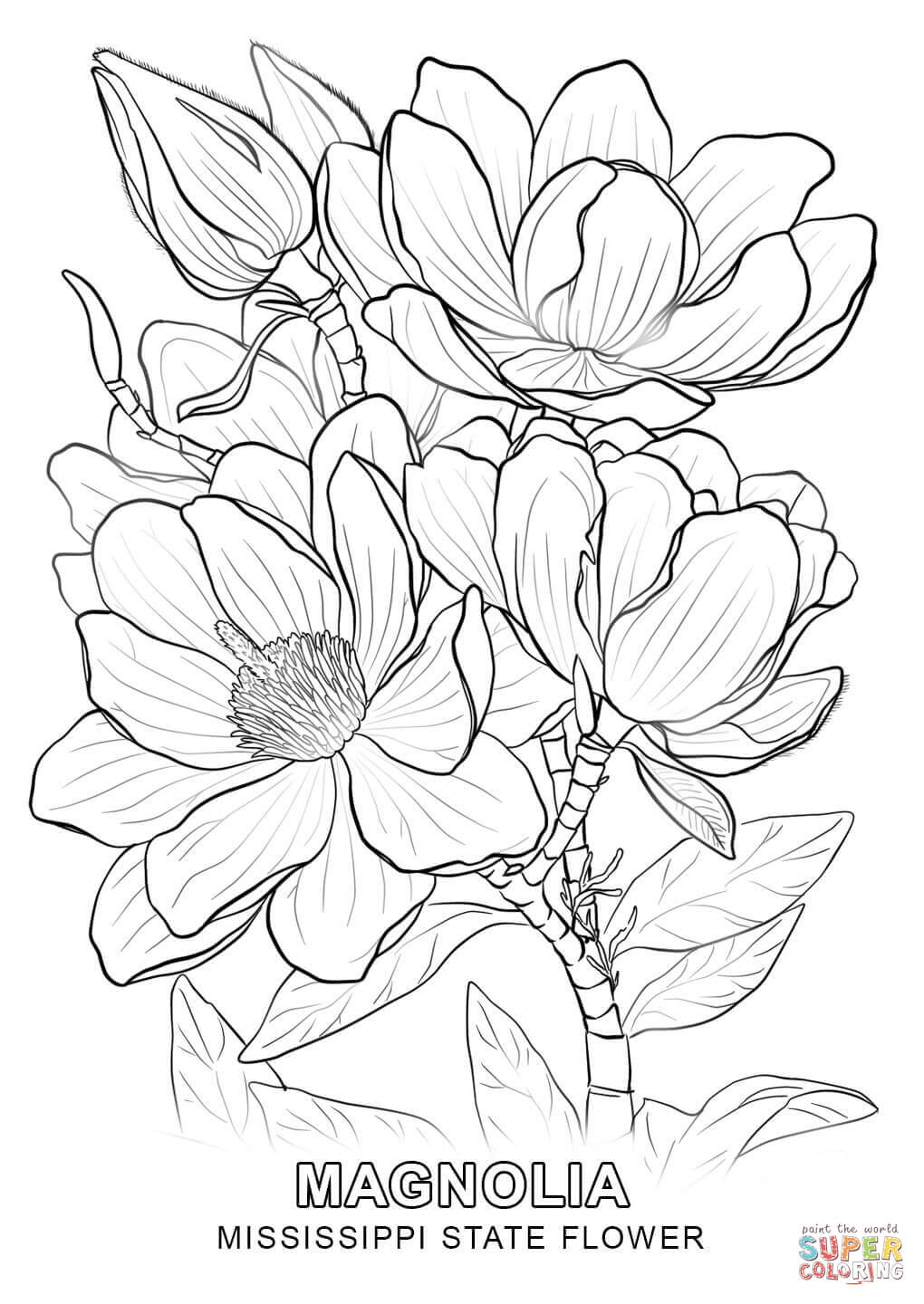 Mississippi State Flower coloring page | Free Printable Coloring Pages