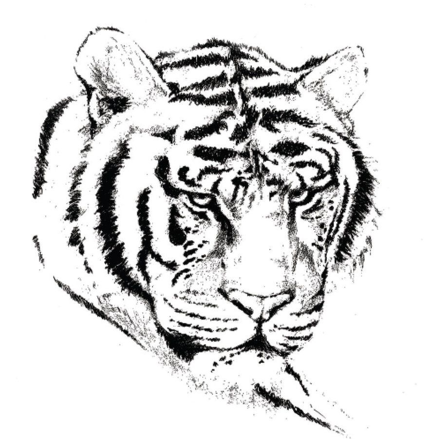 Download Lisa Frank Tiger Coloring Pages - Coloring Home
