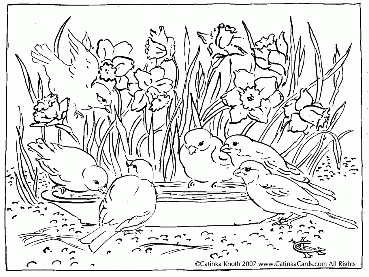 Featured image of post Springtime Spring Coloring Pages For Adults - You will definitely find a picture for yourself.