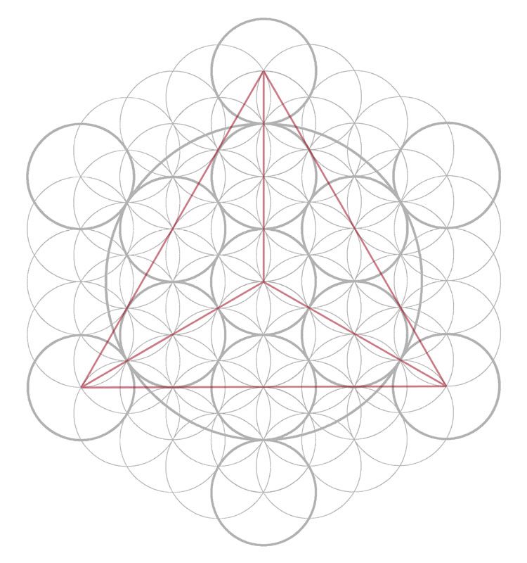 CG: SG: Gallery 13: Metatron's Cube in Nature's First Pattern
