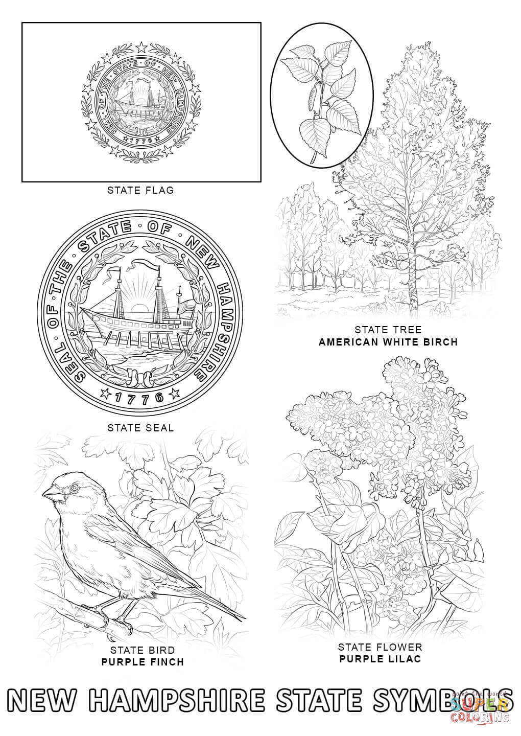 New Hampshire State Symbols coloring page | Free Printable ...