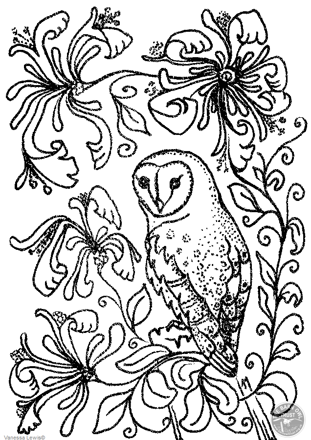 Owl colouring pages - The Barn Owl Trust