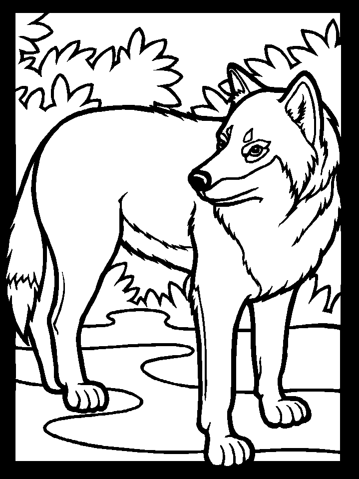 free wolf pup litter Colouring Pages