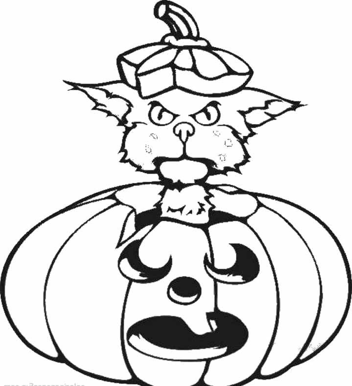 Halloween Cat In Pumpkin Coloring Page |Halloween coloring pages 