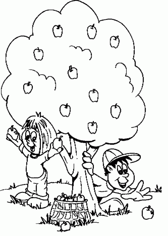 Tree Coloring Pages : The Child Harvest Apple Coloring Page Kids 