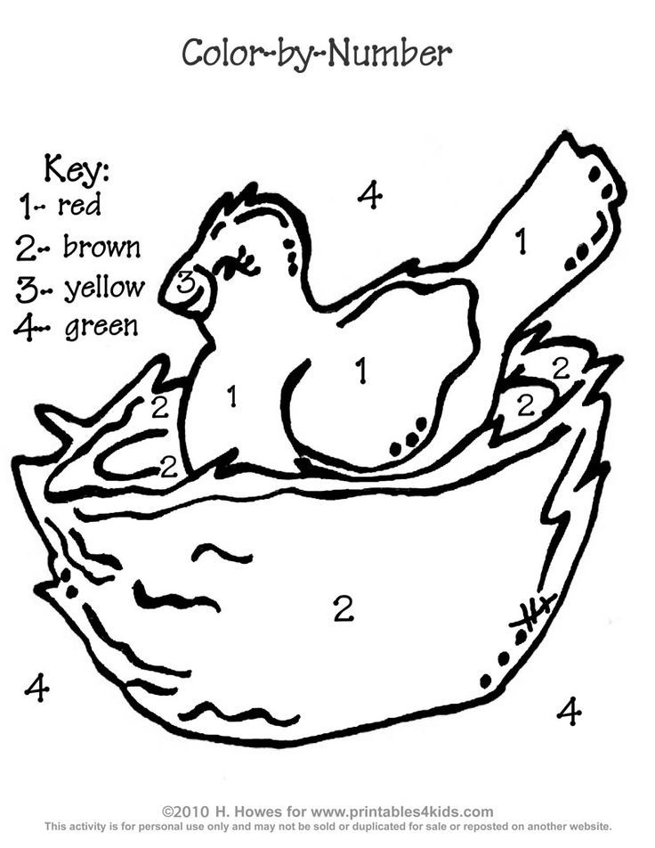 Birds-Nest-Coloring-Page-for-kids-1613 | N is for nest