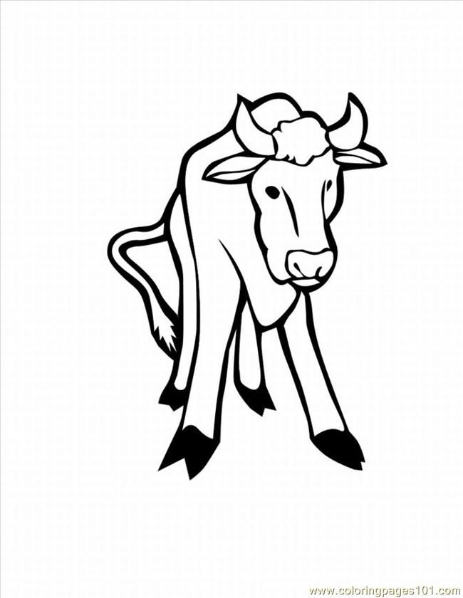 Cattle Coloring Pages - Coloring Home