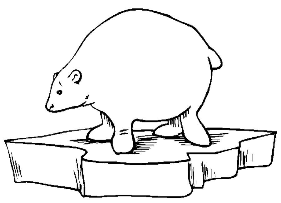 Polar Bear Coloring Sheet - Homeschool Helper