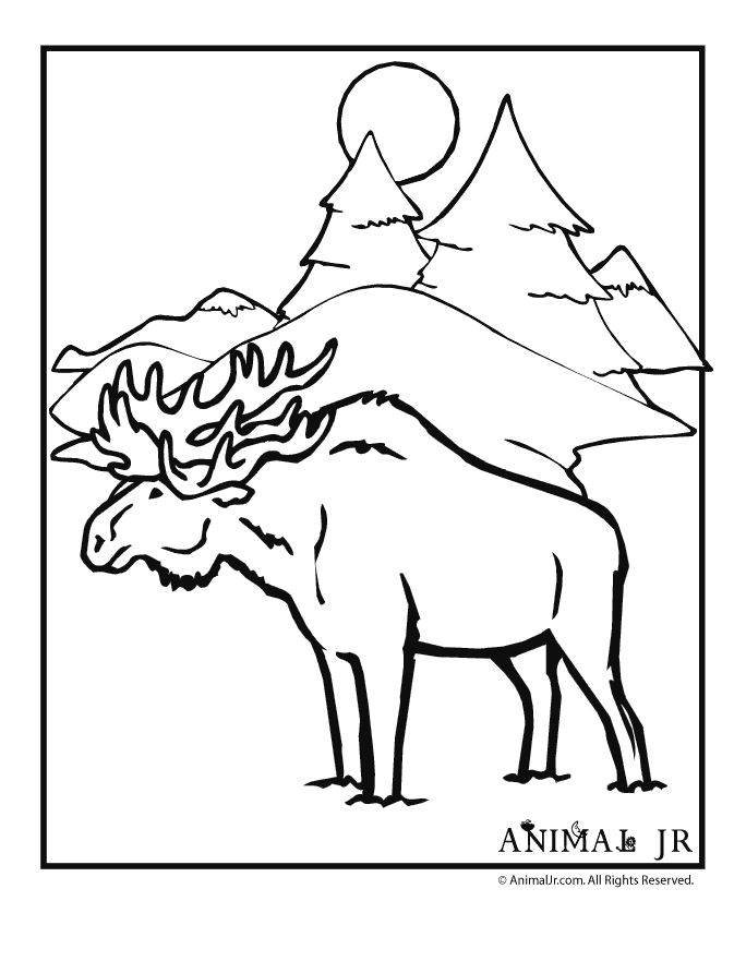 www.uooce.com Colouring Pages