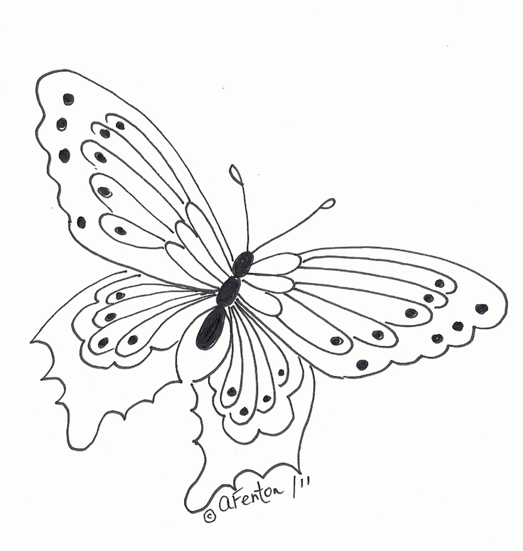 butterfly | Coloring Pages