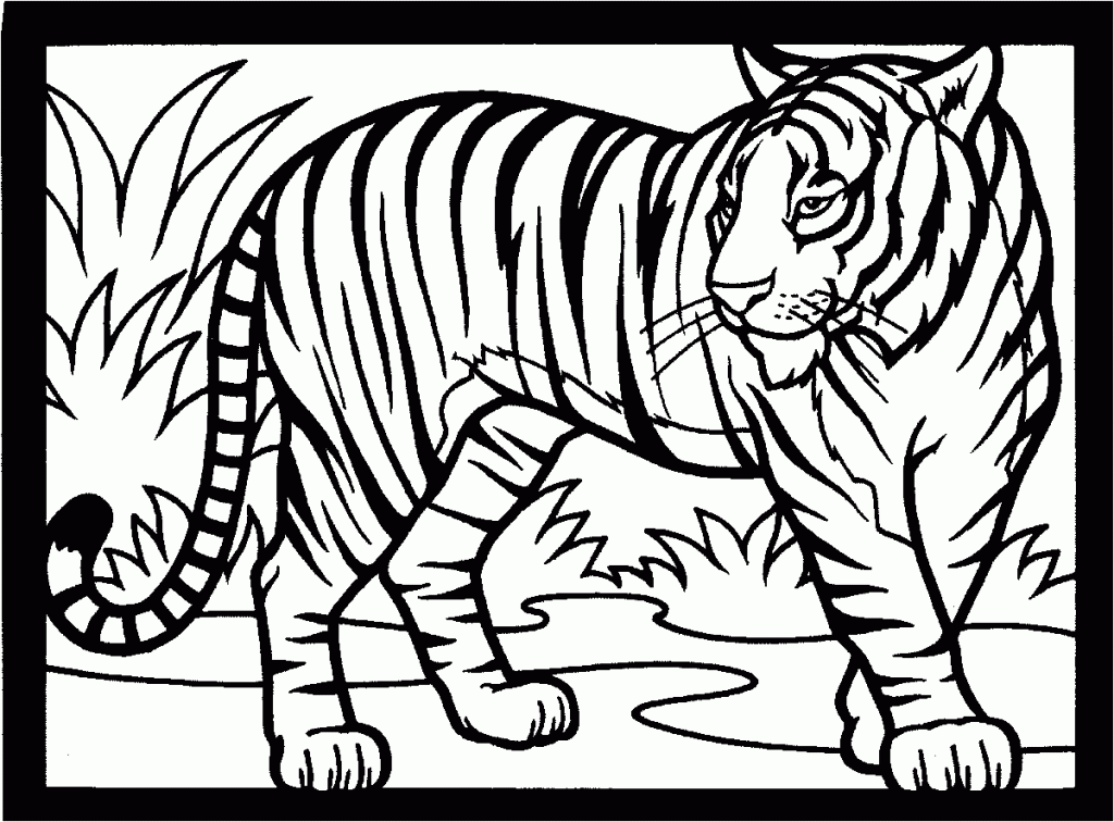 Baby-Tiger-Coloring-Pages-791×1024 | COLORING WS