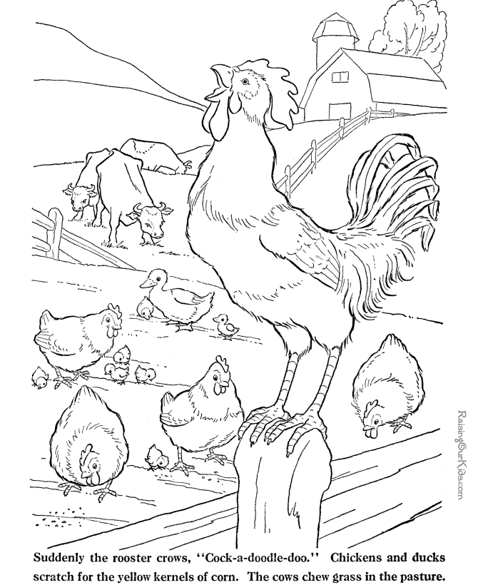 Farm Animal coloring pages - Rooster page to color 001
