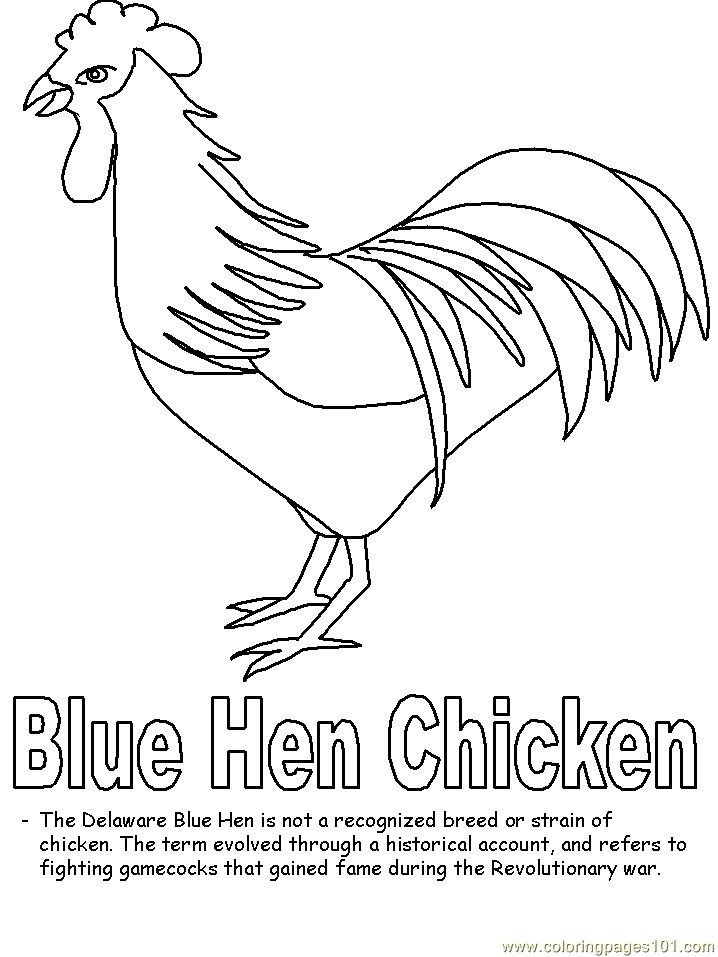 Coloring Pages Blue hen (Birds > Chicks, Hens and Roosters) - free 