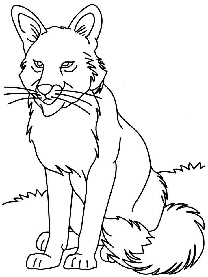 free wolf coloring pages for kids | Great Coloring Pages